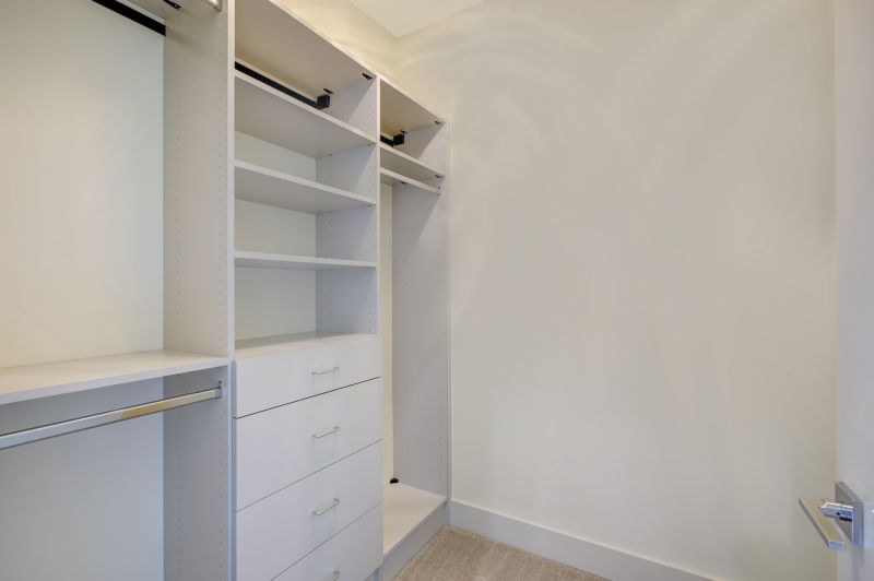 Walk-In Closet Organization Installation Design Trends